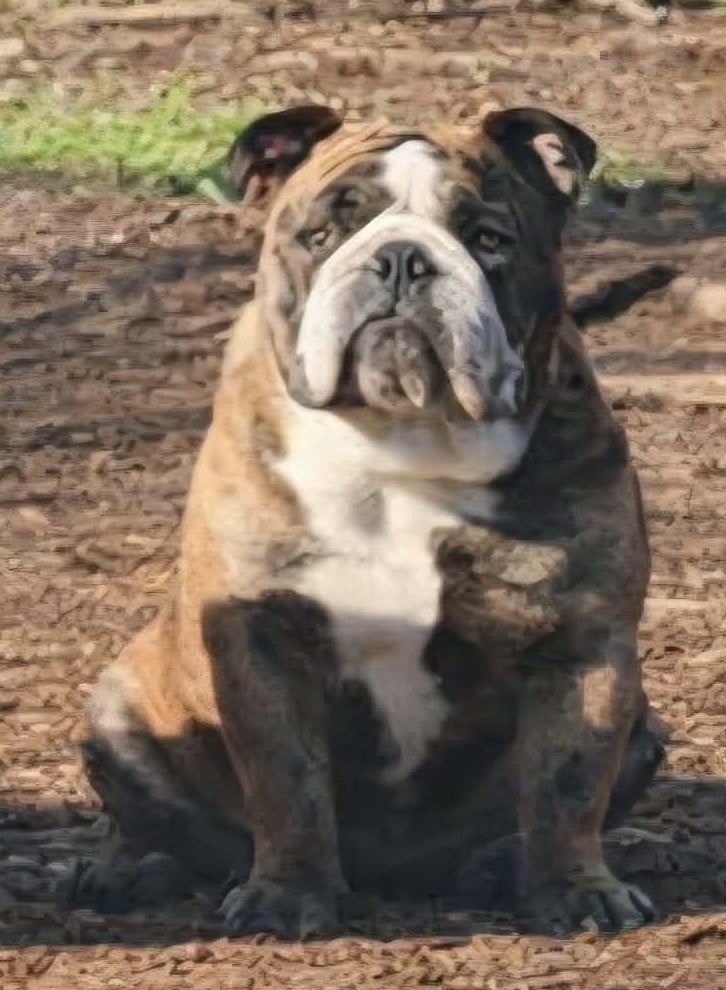 Ruby sitting pretty