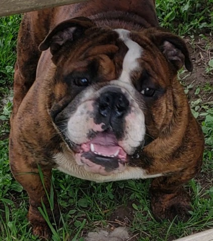I'm still growing up, but still handsome!