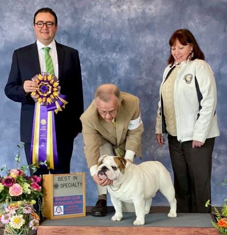 MBISS GR CH Cherokee Legend Paddington — Sire