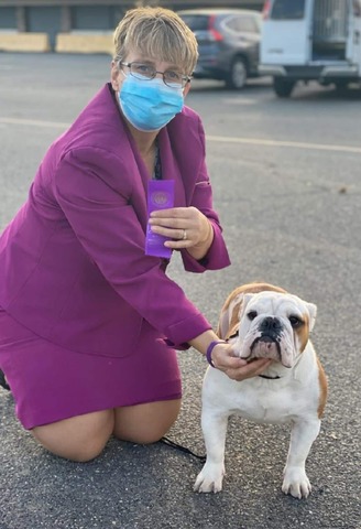 Charlotte, English Bulldog at Smooch-A-Bulls