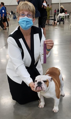 Charlotte going Reserve Winners Bitch
