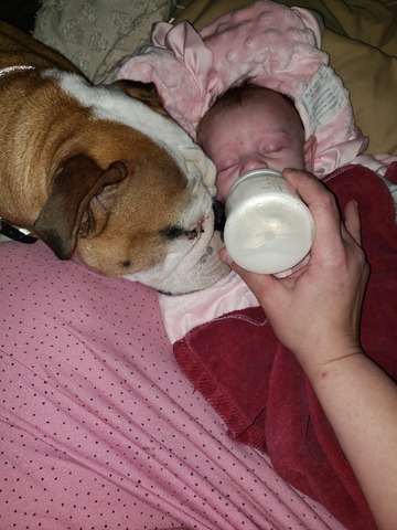 Penny and our newborn grand daughter, tender moments :)