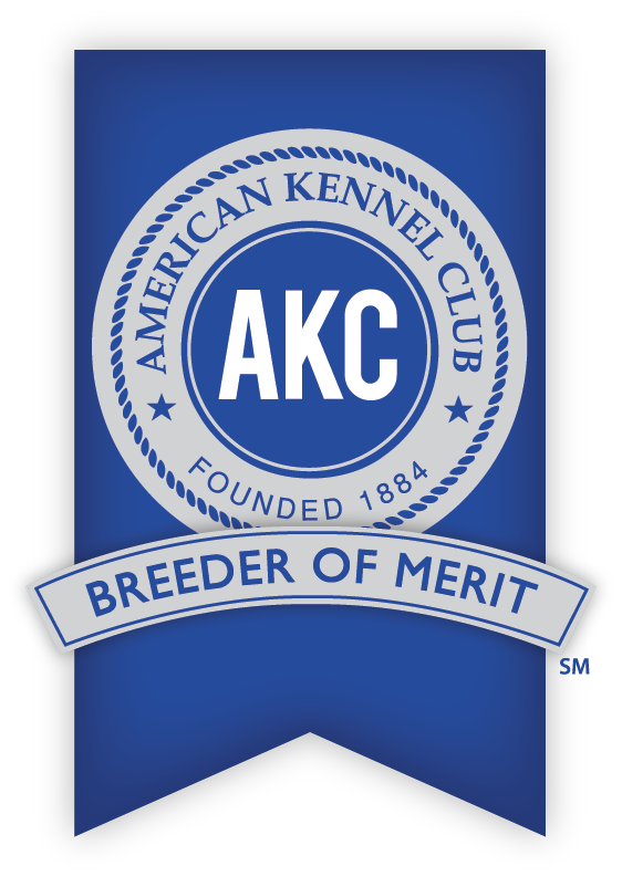 AKC Breeder of Merit